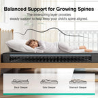 Novilla 14 Inch Queen Size Mattress,Hybrid Queen Mattress with Gel Memory Foam, Cool-to-Touch Nylon Blend & Pocketed Coils for Adaptive Body Support & Motion Isolation CertiPUR-US Certified