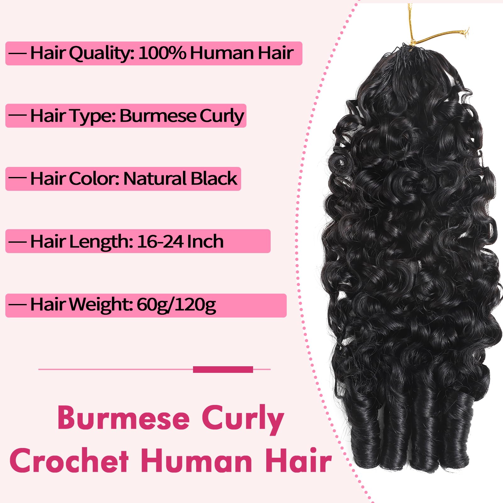 Beauty Queen Burmese Curly Crochet Human Hair 16inch 120g Knotless Pre-Separated Feather Human Crochet Hair Lightweight Reusable Remy Hair Extensions With Spiral Curl for Women Natural Black Color