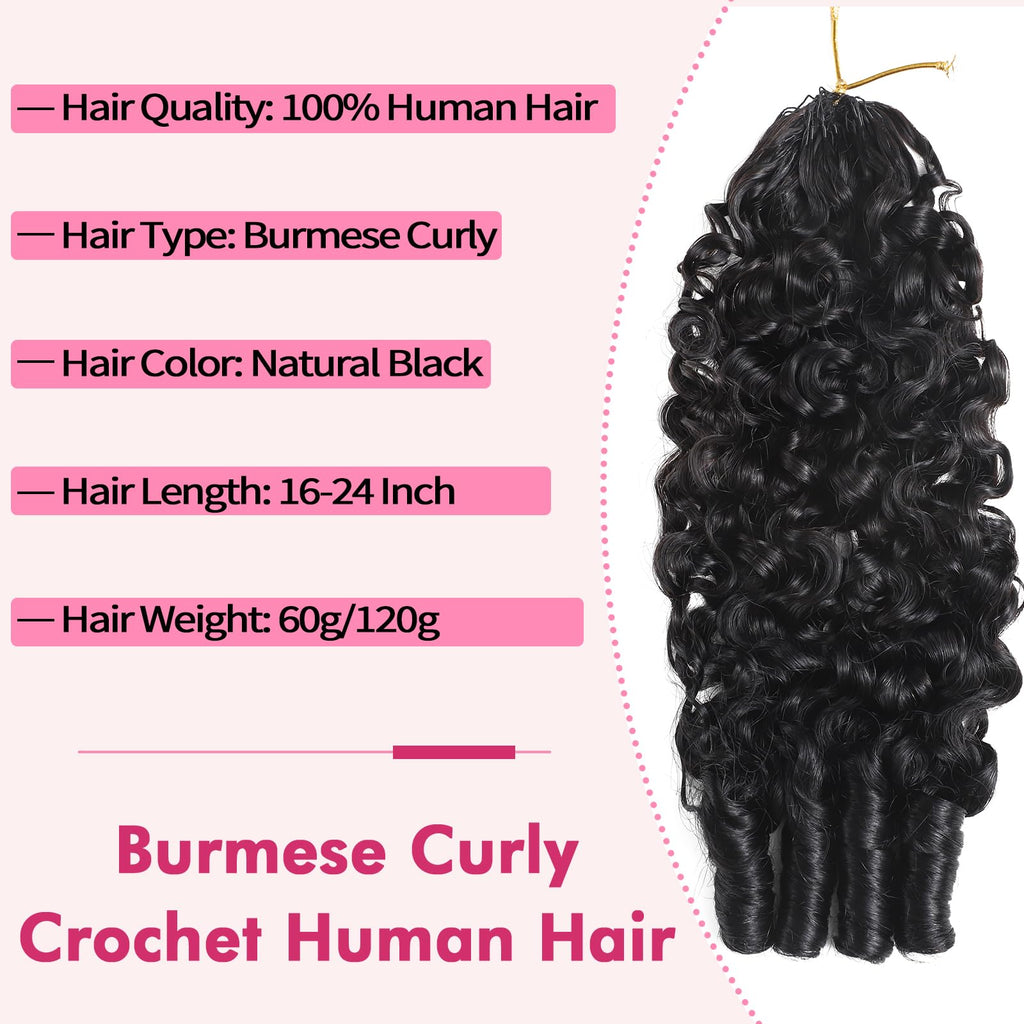 Beauty Queen Burmese Curly Crochet Human Hair 16inch 120g Knotless Pre-Separated Feather Human Crochet Hair Lightweight Reusable Remy Hair Extensions With Spiral Curl for Women Natural Black Color
