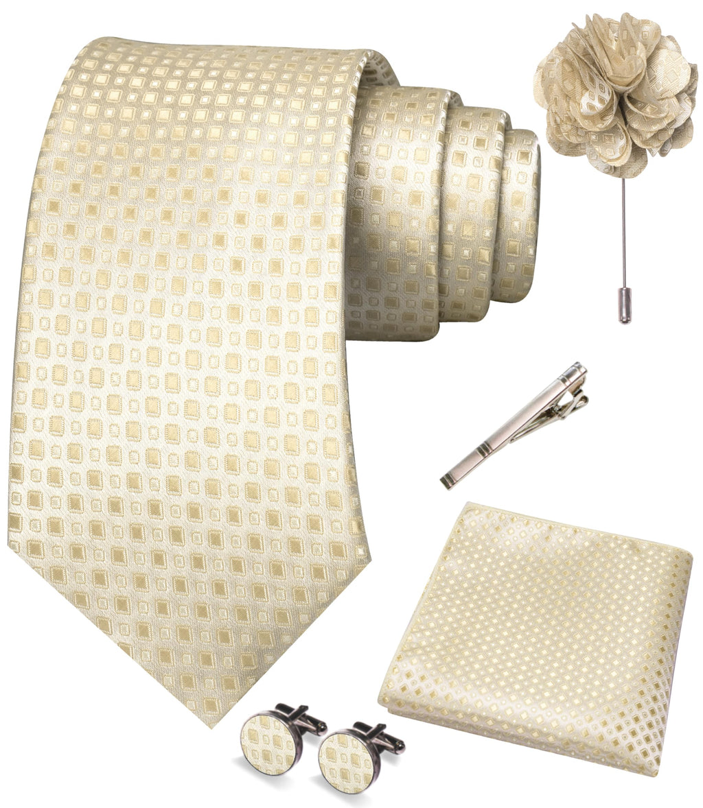 JEMYGINS Mens Tie and Pocket Square,Lapel Pin,Cufflinks,Tie Clip Sets with Gift Box 5PCS